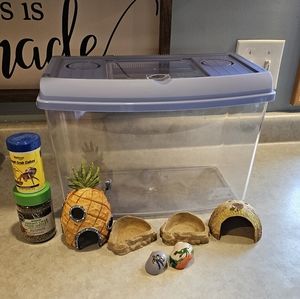 Hermit crab accessories